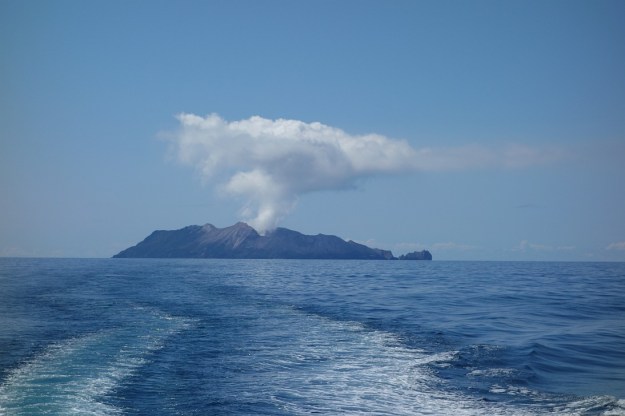 DSC03397_WhakaariWhiteIs