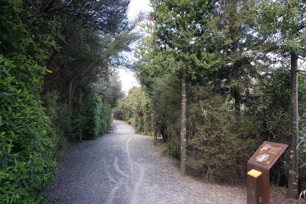 DSC02700_MarthaPitRimWaihi