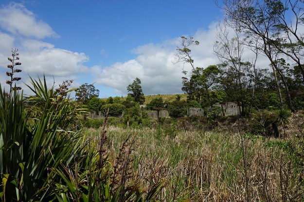 DSC02703_MarthaPitRimWaihi