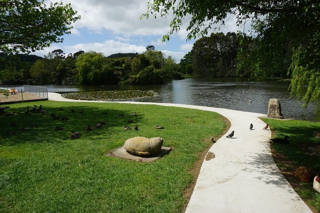 DSC02710_BlackHillWaihi