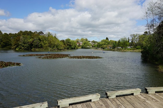 DSC02712_BlackHillWaihi