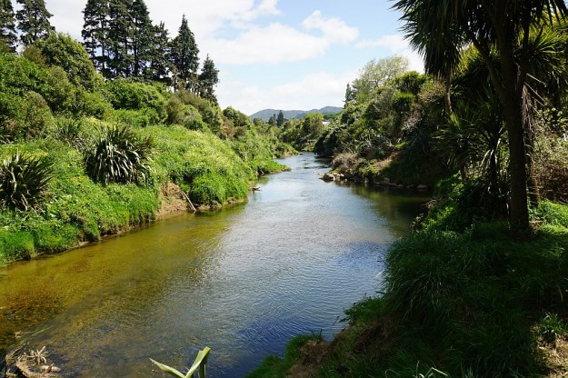 DSC02715_BlackHillWaihi