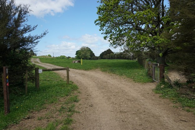 DSC02717_BlackHillWaihi