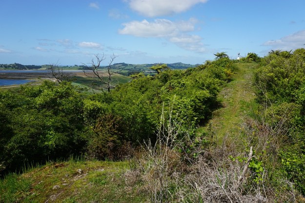 DSC02727_BlackHillWaihi