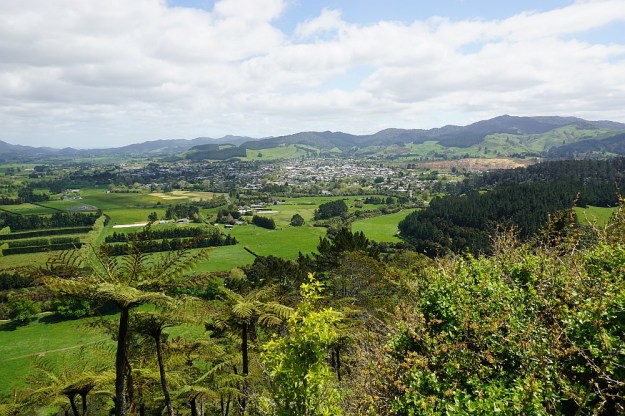 DSC02729_BlackHillWaihi