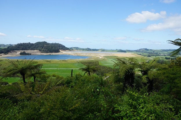 DSC02731_BlackHillWaihi