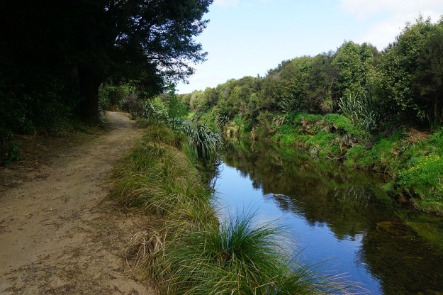 DSC02741_BlackHillWaihi
