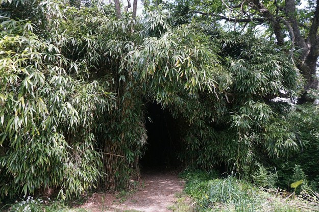 DSC02749_BlackHillWaihi