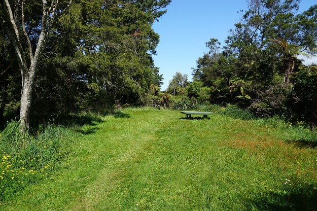 DSC02752_BlackHillWaihi