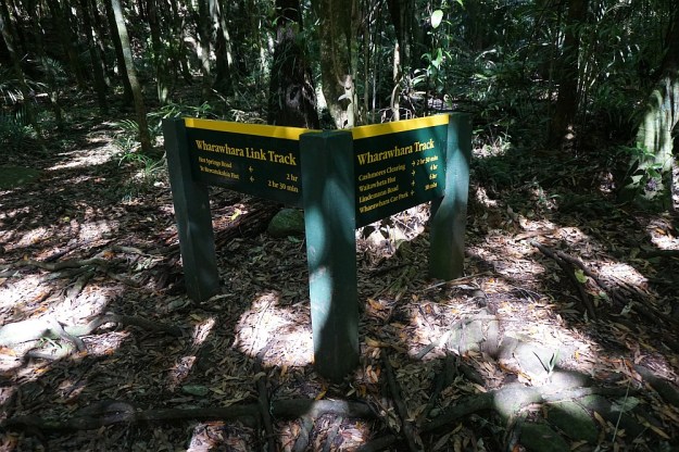 DSC02765_WharawharaTramway