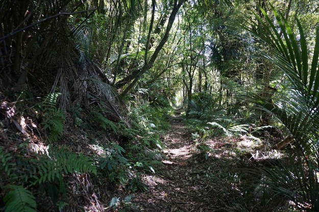 DSC02771_WharawharaTramway