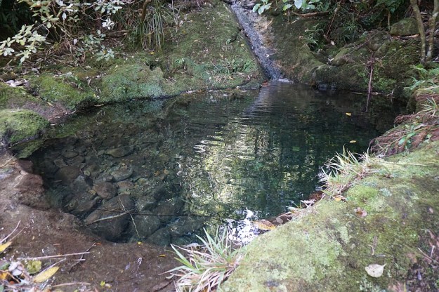 DSC02780_WharawharaTramway