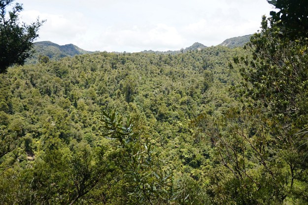 DSC02782_WharawharaTramway