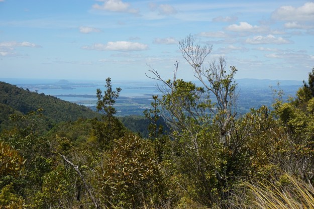 DSC02788_WharawharaTramway