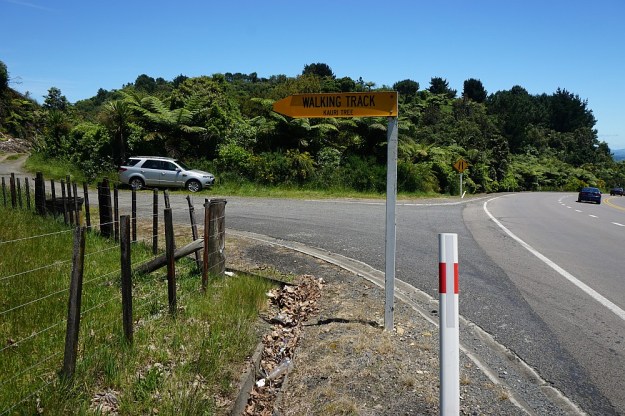 DSC02822_RapurapuKauriTrk