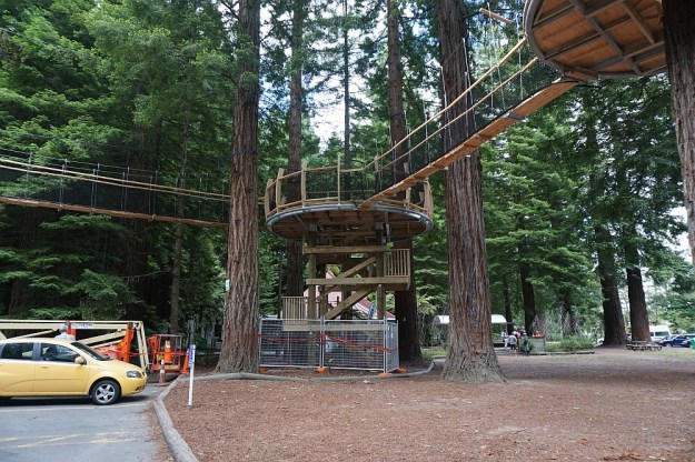 DSC02855_RedwoodsPohaturoa