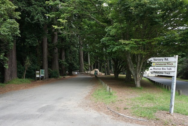 DSC02868_RedwoodsPohaturoa