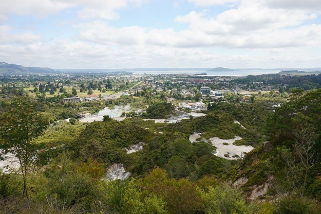 DSC02878_RedwoodsPohaturoa