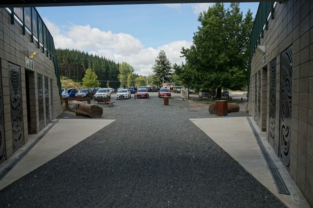 DSC02899_RedwoodsPohaturoa