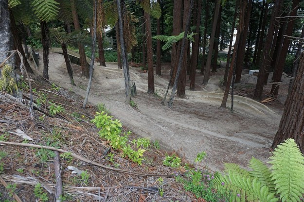 DSC02908_RedwoodsPohaturoa