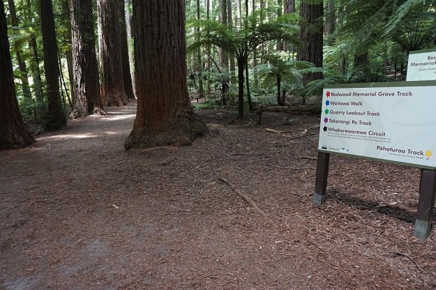 DSC02909_RedwoodsQuarry