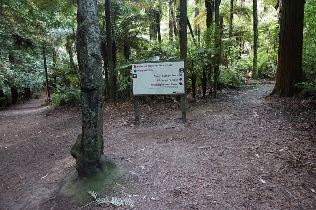 DSC02913_RedwoodsQuarry