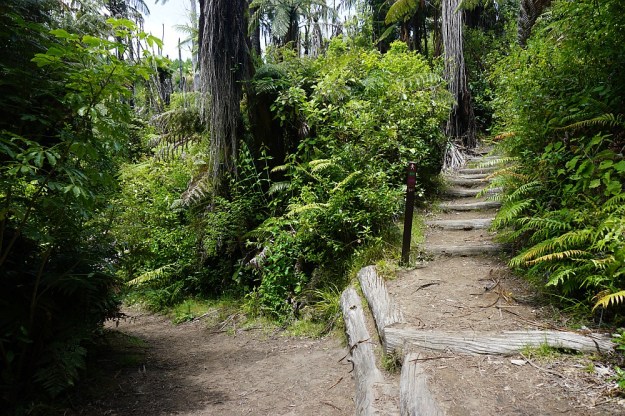 DSC02914_RedwoodsQuarry