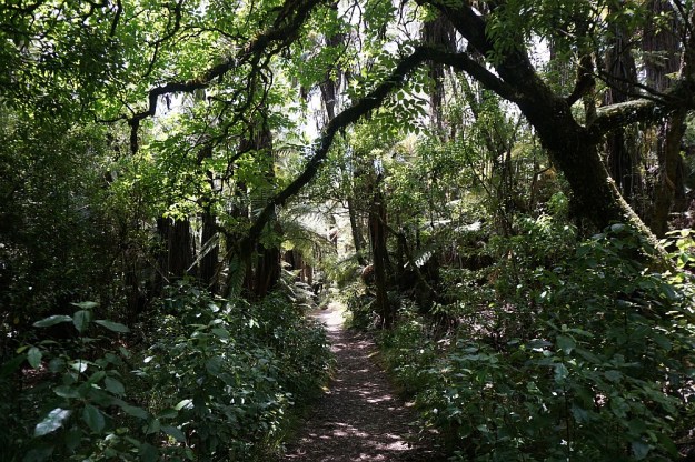 DSC02915_RedwoodsQuarry