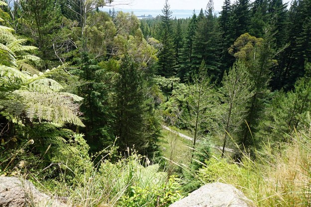 DSC02917_RedwoodsQuarry