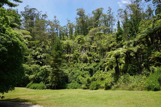 DSC02921_RedwoodsQuarry