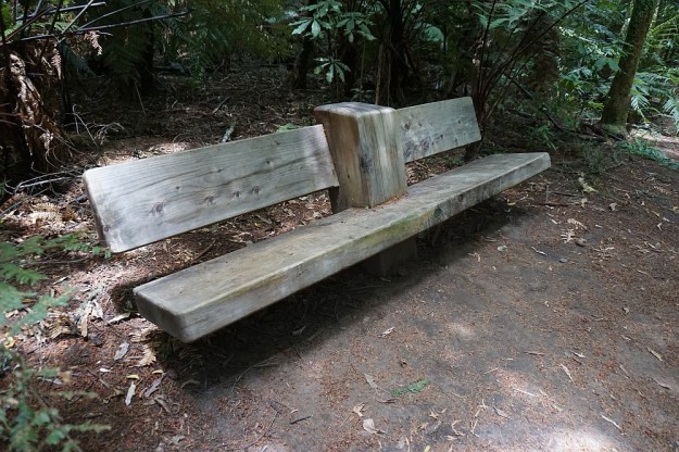 DSC02926_RedwoodsQuarry