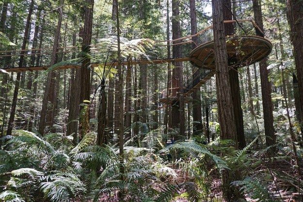 DSC02929_RedwoodsQuarry