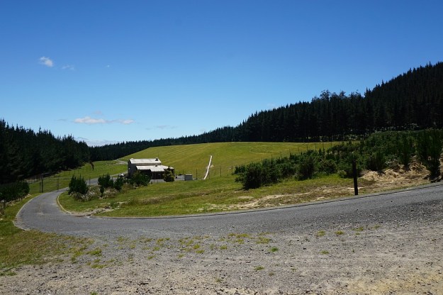 DSC02989_RedwoodsTokorangiPa