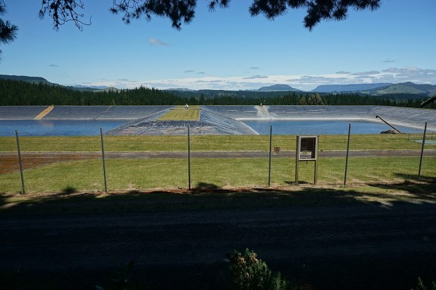 DSC02991_RedwoodsTokorangiPa