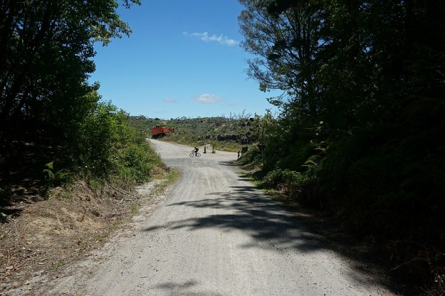 DSC02993_RedwoodsTokorangiPa