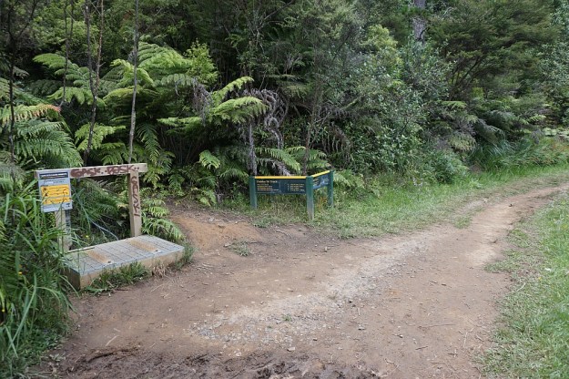 DSC03044_DickeyFlat_Karangahake