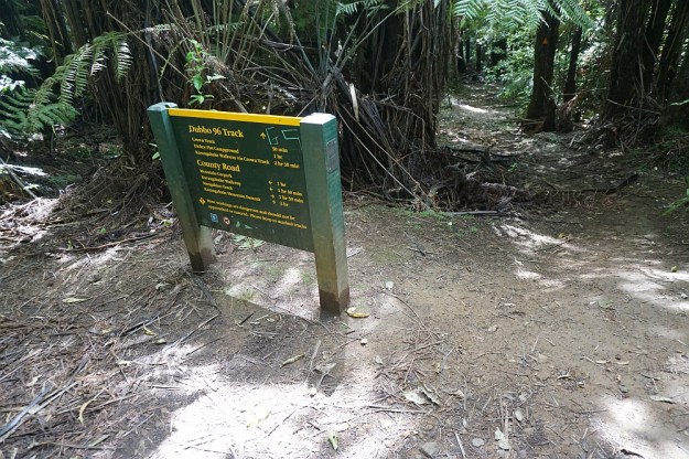 DSC03053_DickeyFlat_Karangahake