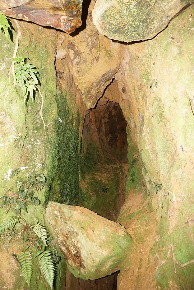 DSC03059_DickeyFlat_Karangahake