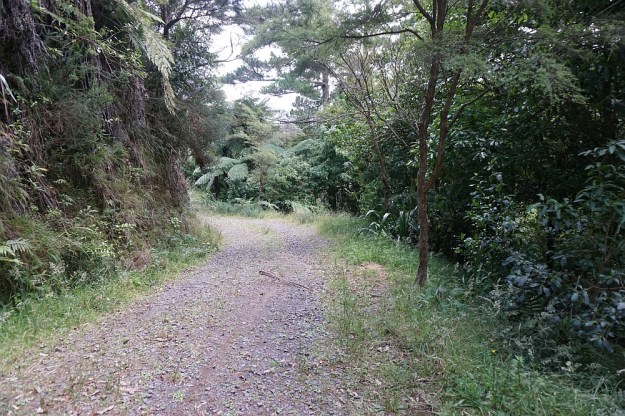 DSC03063_DickeyFlat_Karangahake