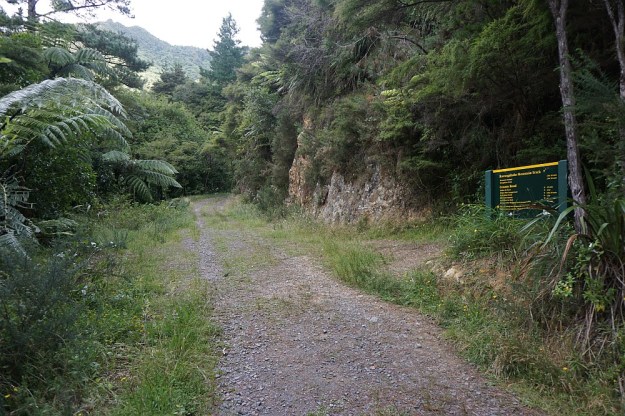 DSC03064_DickeyFlat_Karangahake