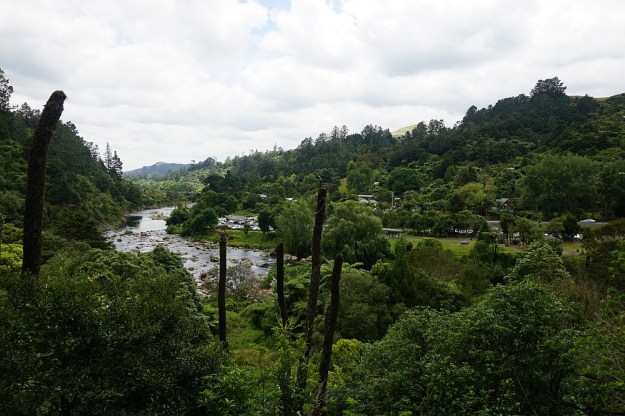 DSC03066_DickeyFlat_Karangahake