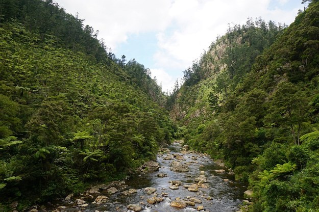 DSC03070_DickeyFlat_Karangahake