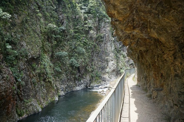DSC03076_DickeyFlat_Karangahake