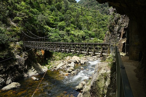 DSC03077_DickeyFlat_Karangahake