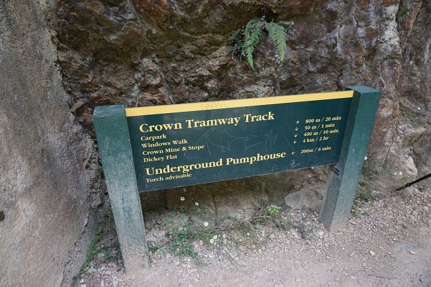 DSC03078_DickeyFlat_Karangahake