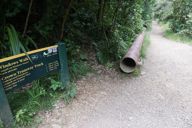 DSC03080_DickeyFlat_Karangahake