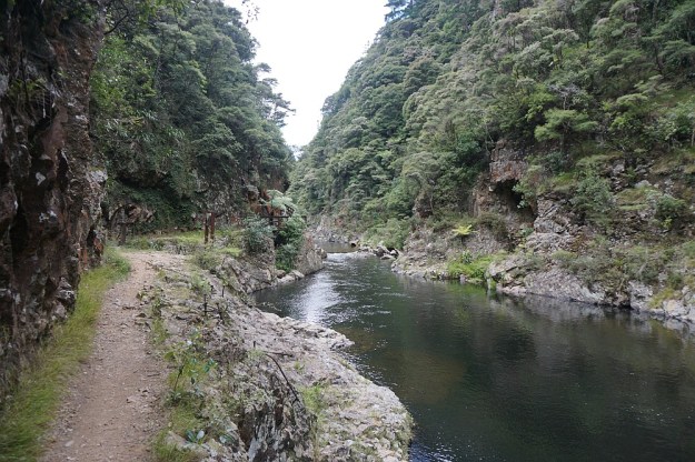 DSC03081_DickeyFlat_Karangahake