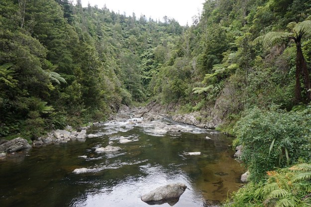 DSC03103_DickeyFlat_Karangahake