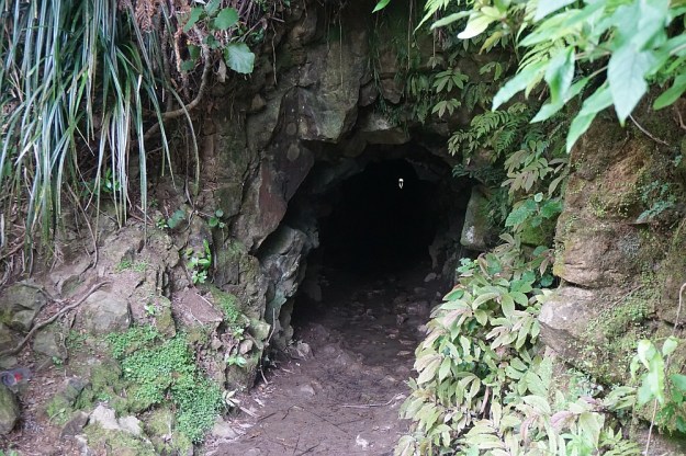 DSC03104_DickeyFlat_Karangahake