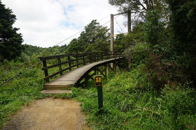 DSC03110_DickeyFlat_Karangahake